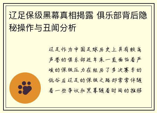 辽足保级黑幕真相揭露 俱乐部背后隐秘操作与丑闻分析