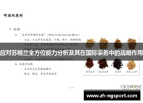 应对苏格兰全方位能力分析及其在国际事务中的战略作用